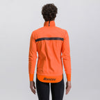 MODEL-BACK