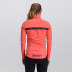 MODEL-BACK