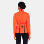 MODEL-BACK
