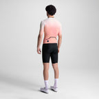 MODEL-BACK