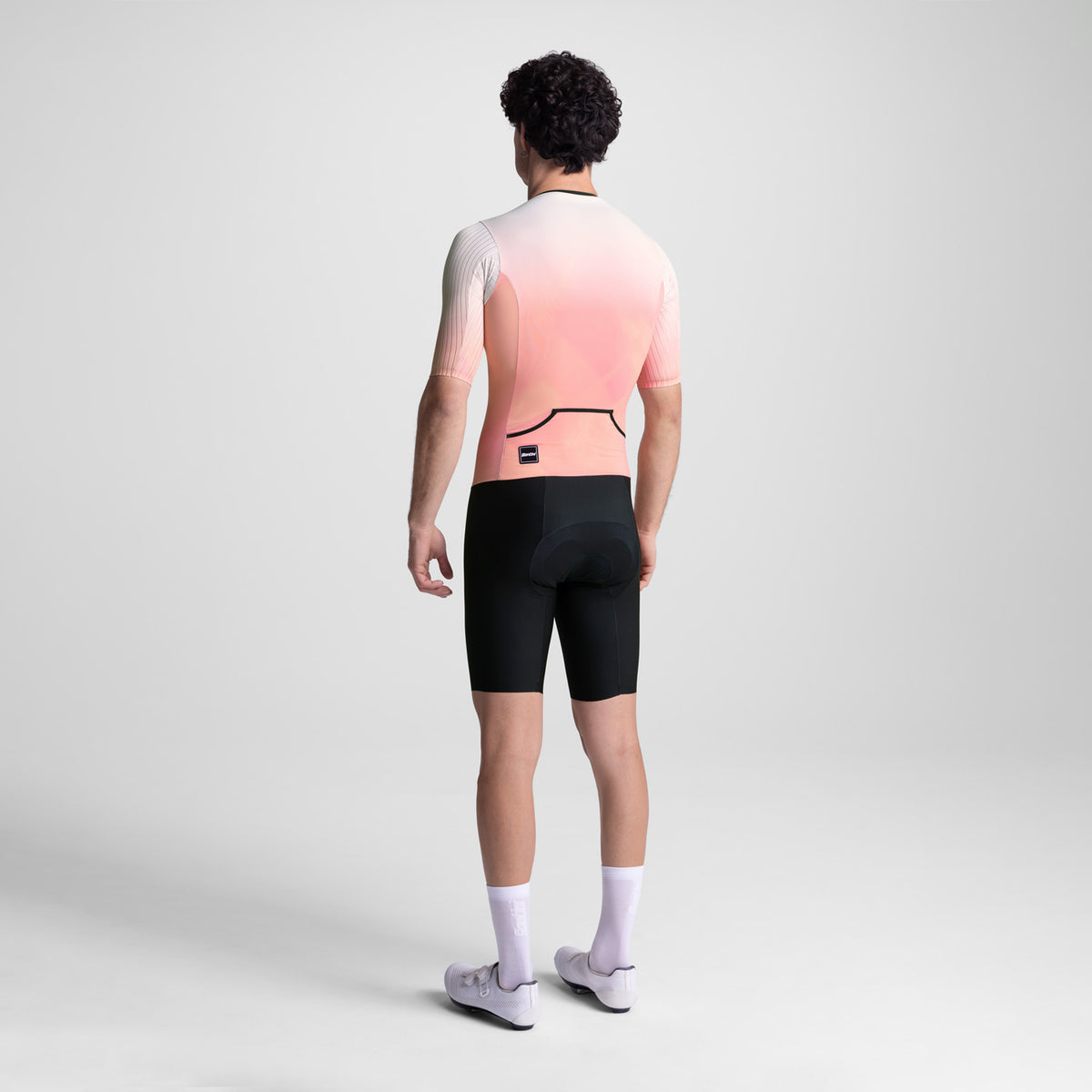 MODEL-BACK
