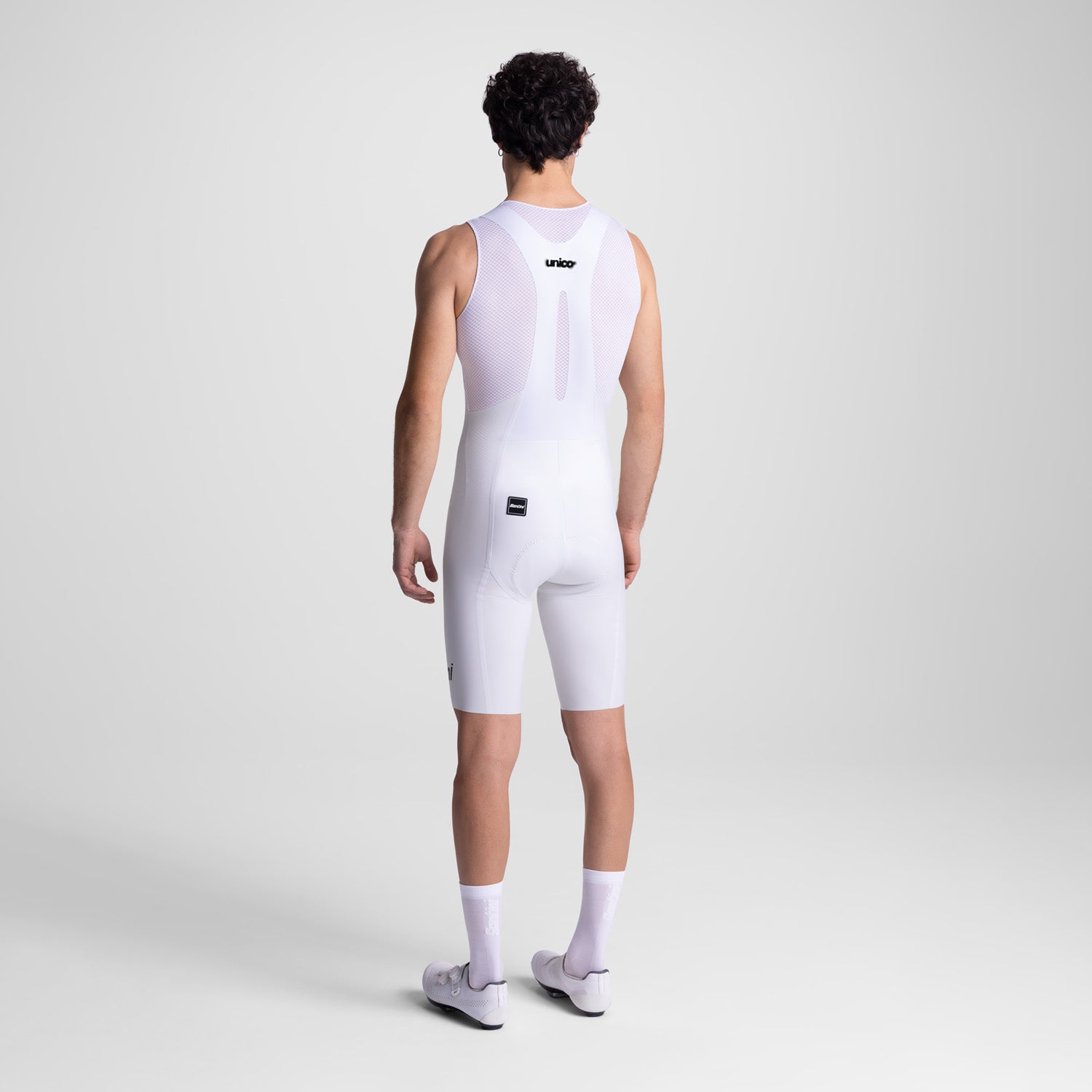 MODEL-BACK